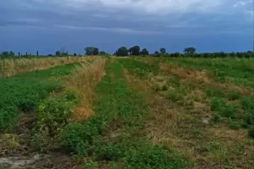 Satılır Torpaq Qusar Rayonunda 