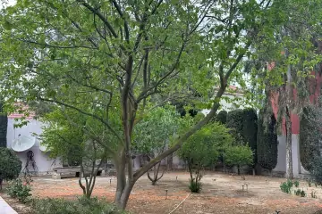Satılır Bağ Evi Mərdəkanda