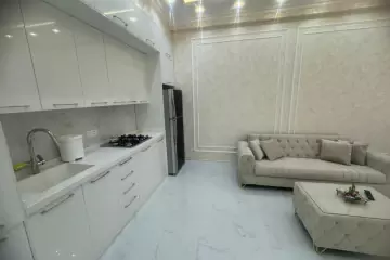 Aylıq Kirayə Yeni Tikili 28 May Metrosu ətrafında
