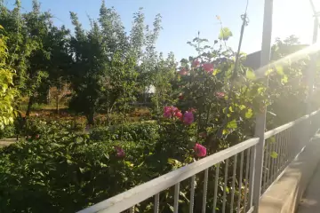 Satılır Həyət Evi Buzovnada
