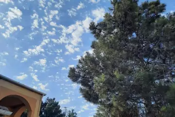 Satılır Həyət Evi Savalan Qəsəbəsida