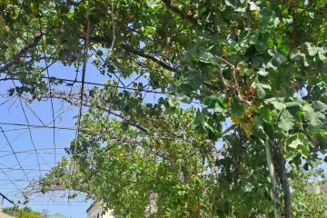 Satılır Həyət Evi Maştağada