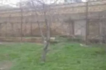 Satılır Torpaq Badamdarda 