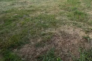 Satılır Torpaq Maştağada