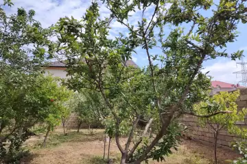 Satılır Həyət Evi Sarayda