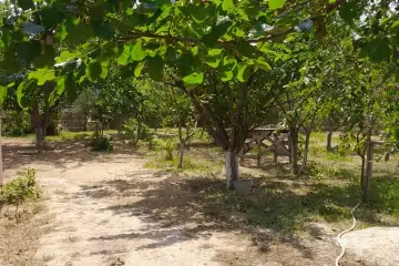 Satılır Həyət Evi Sarayda