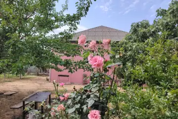 Satılır Həyət Evi Sarayda 