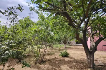 Satılır Həyət Evi Sarayda