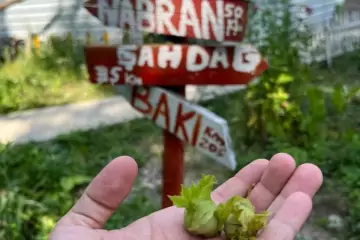 Günlük Kirayə Bağ Evi Quba Rayonunda
