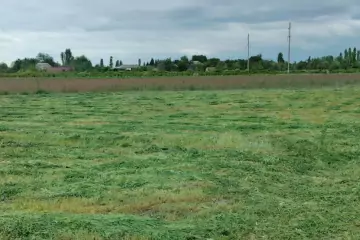 Satılır Torpaq Göyçay Rayonunda