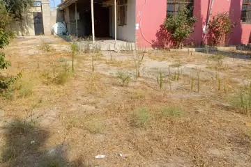 Satılır Həyət Evi Buzovnada