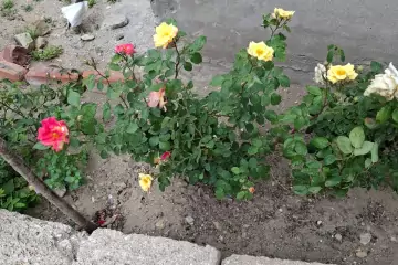 Satılır Həyət Evi Suraxanıda
