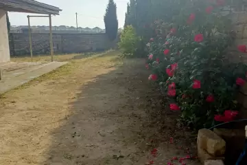 Satılır Həyət Evi Buzovnada