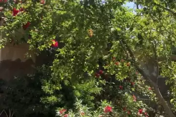 Satılır Həyət Evi Maştağada