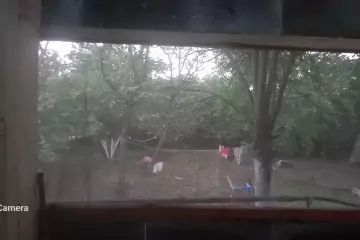 Satılır Bağ Evi Qax Rayonunda