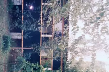 Satılır Bağ Evi Qax Rayonunda