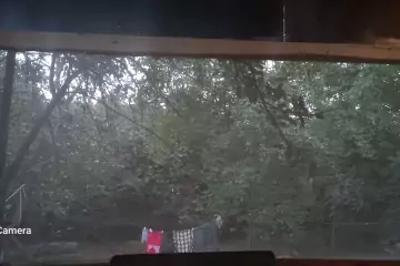 Satılır Bağ Evi Qax Rayonunda