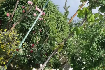Satılır Həyət Evi Maştağada