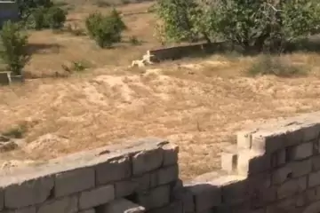 Satılır Torpaq Nardaranda