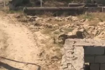 Satılır Torpaq Nardaranda