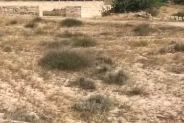 Satılır Torpaq Nardaranda