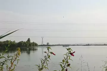 Satılır Torpaq Mingəçevirdə