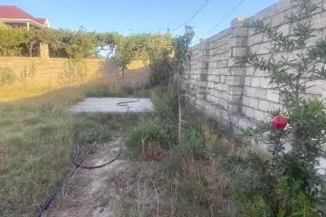 Satılır Torpaq Qalada