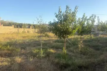 Satılır Torpaq Qalada