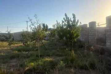 Satılır Torpaq Qalada