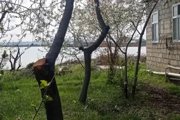 Satılır Torpaq Mingəçevirdə