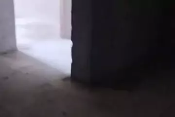 Satılır Yeni Tikili Xırdalan şəhərində