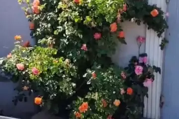 Satılır Həyət Evi Fəhlə Prospekti - Rabocidə
