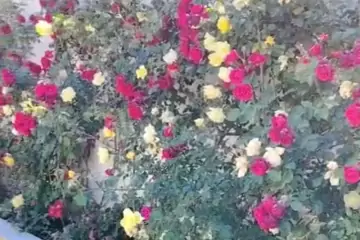 Satılır Həyət Evi Fəhlə Prospekti - Rabocidə