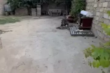 Satılır Həyət Evi Astara Rayonunda
