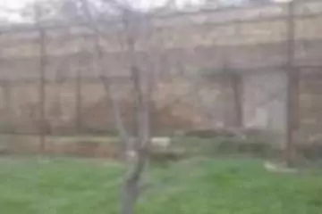 Satılır Torpaq Badamdarda 
