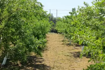 Satılır Torpaq Maştağada