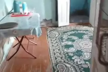 Satılır Həyət Evi Suraxanıda