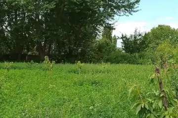 Satılır Həyət Evi şabran Rayonunda