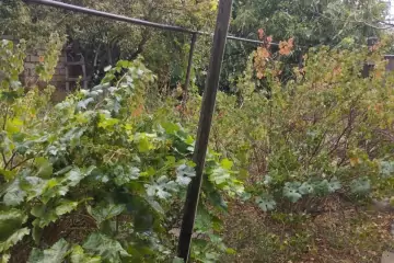 Satılır Həyət Evi Fatmayıda 