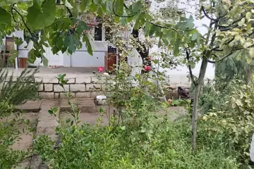 Satılır Həyət Evi Fatmayıda