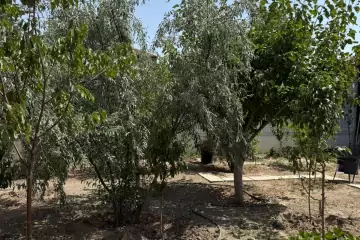 Satılır Bağ Evi Zirədə