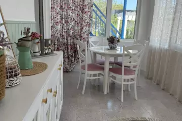 Satılır Bağ Evi Zirədə