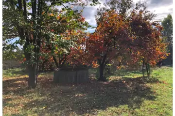 Satılır Obyekt şəki şəhəridə