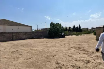 Satılır Torpaq Bilgəhdə