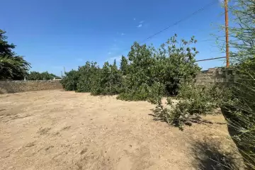 Satılır Torpaq Bilgəhdə