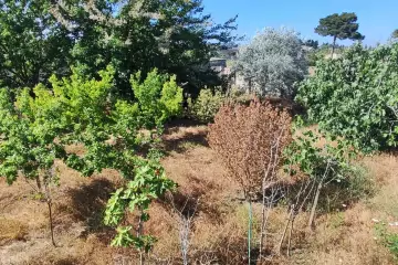 Satılır Torpaq Buzovnada