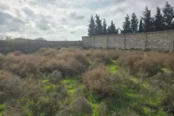 Satılır Torpaq Nardaranda 