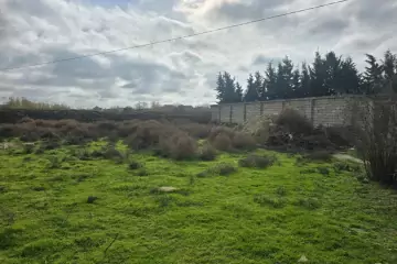 Satılır Torpaq Nardaranda