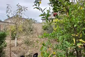 Satılır Həyət Evi Buzovnada