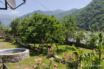 Günlük Kirayə Həyət Evi Qax Rayonunda